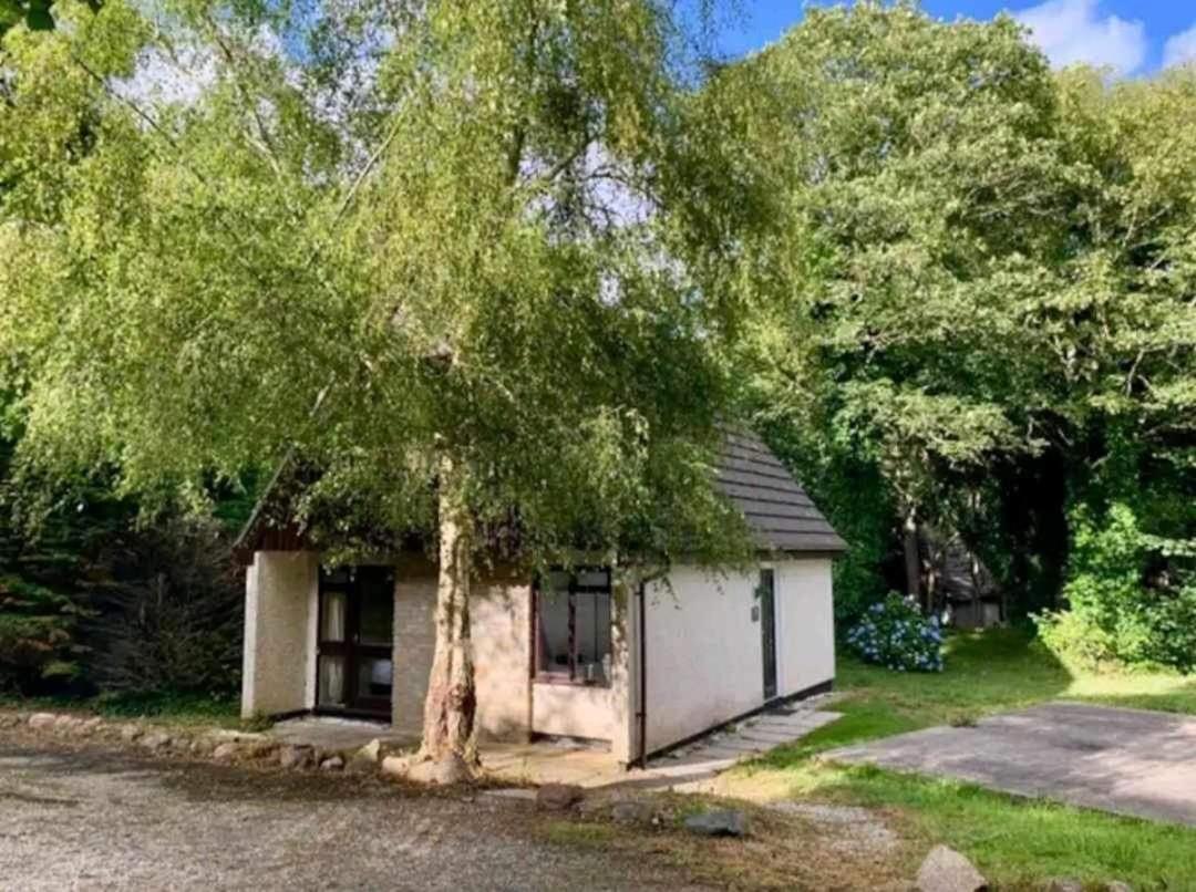 St Ives Bluebell Cottage Eksteriør billede